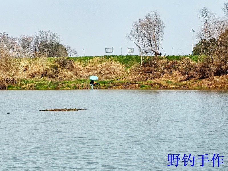 IMG_20260311_125129.jpg