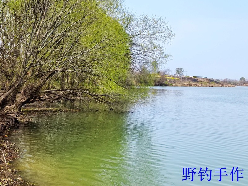 IMG_20260311_125214.jpg