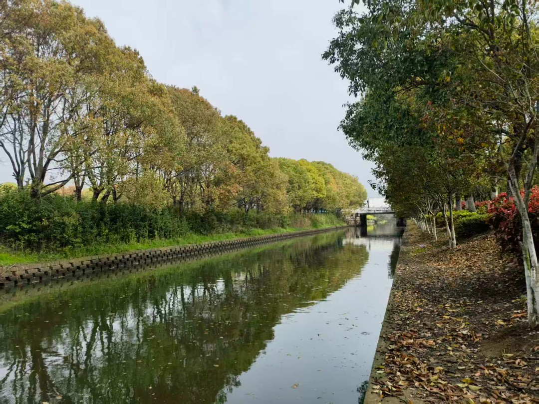 c2100677c1bdc07a6a1102800cf653f5.jpg