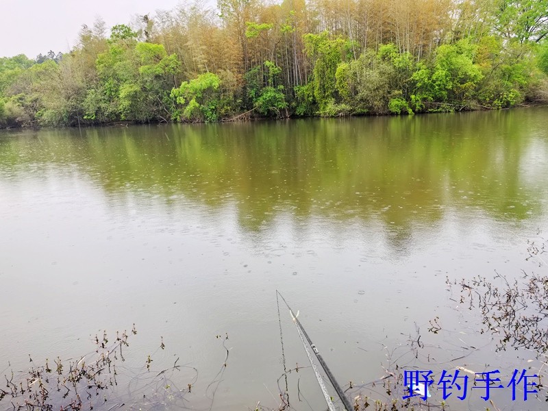 IMG_20260411_140150.jpg