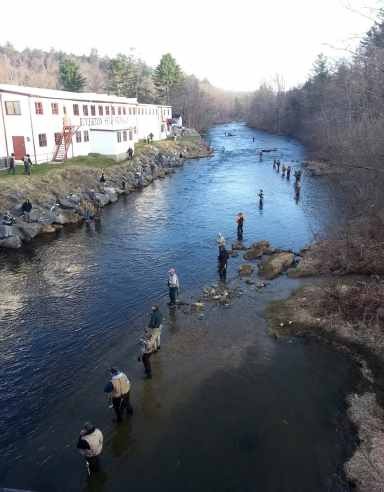 connecticut_rainbow_trout_record_5.jpg