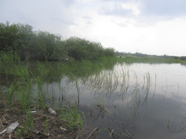 IMG_9287.JPG