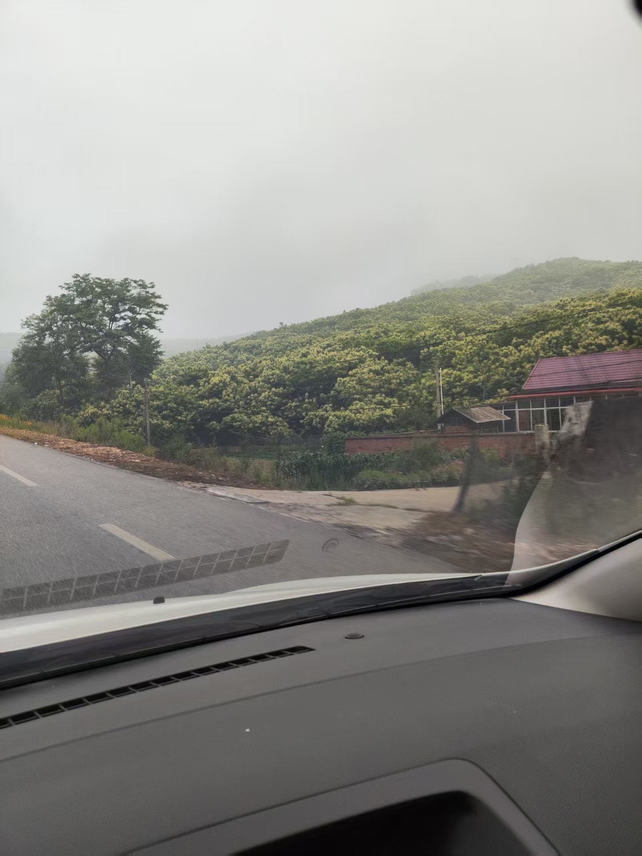 路上风景一.jpg