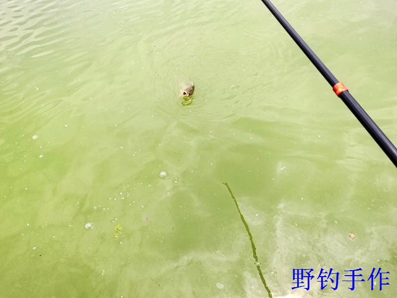IMG_20260612_130630.jpg