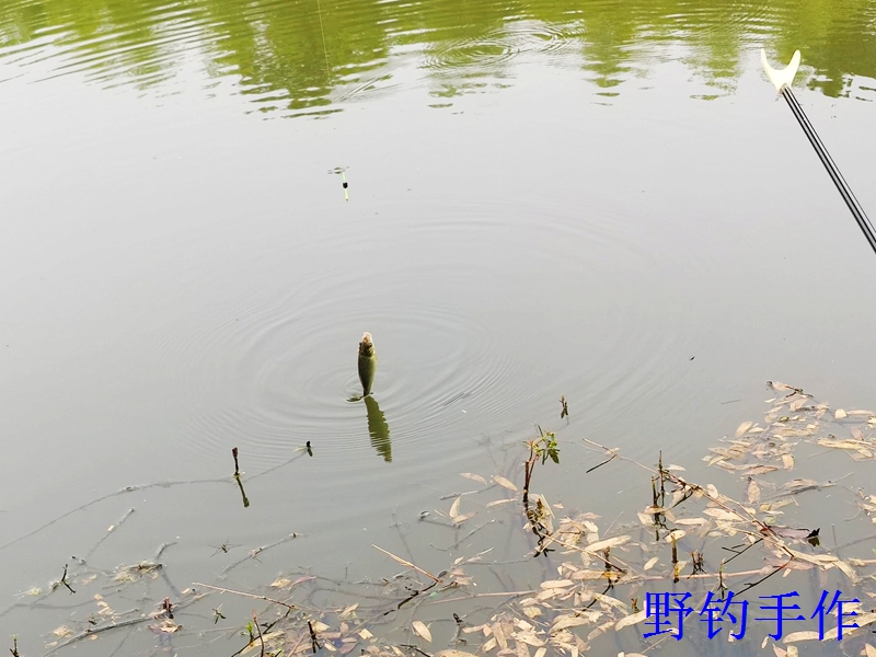 IMG_20260627_090029_1..jpg