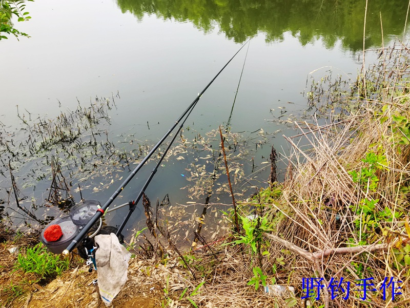 IMG_20260627_090127..jpg